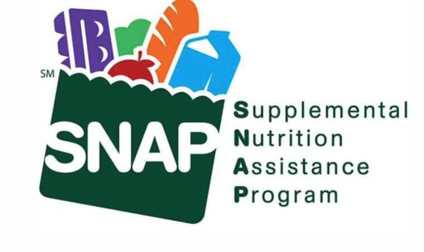 graphic of Supplemental Nutrition Assistance Program